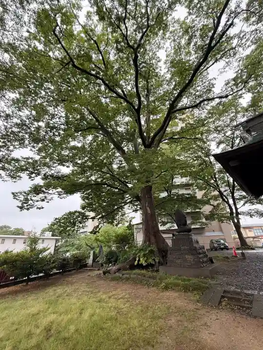 愛宕神社(福島県)