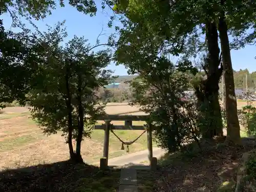 熊野神社の鳥居