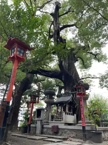 若一神社(京都府)