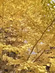 高野山金剛峯寺奥の院(和歌山県)