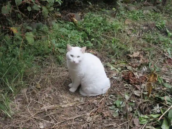 久國神社(東京都)