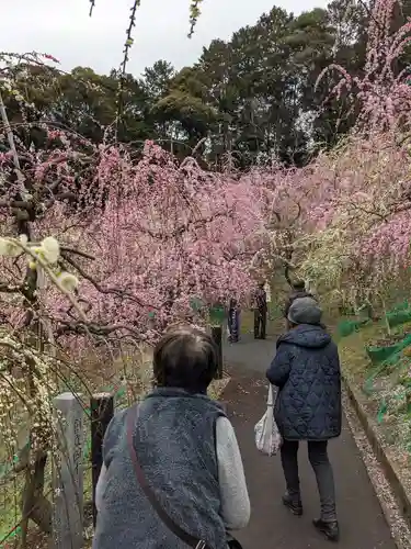 大縣神社の庭園