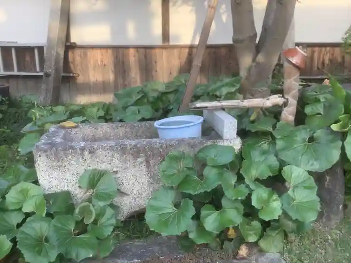 極楽寺の手水舎