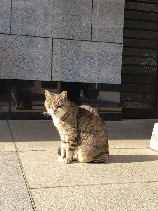 白金氷川神社の動物