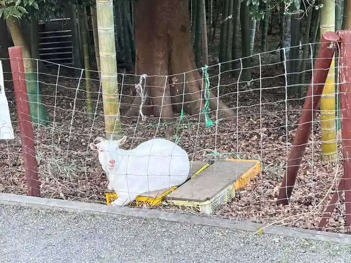 出雲大社相模分祠(神奈川県)