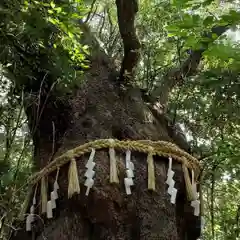 熱田神宮の自然