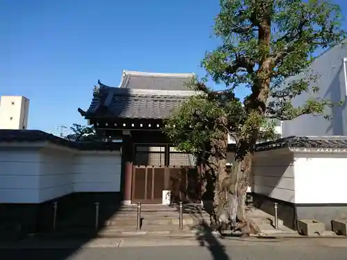 法然寺の山門