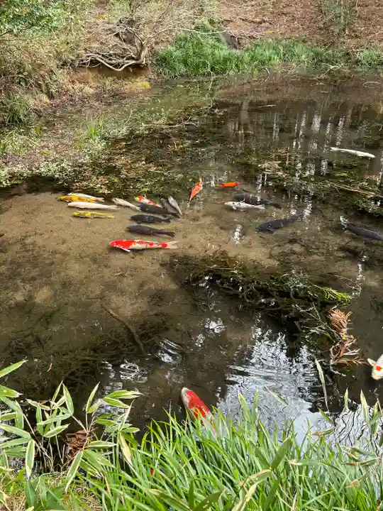 赤城神社(三夜沢町)(群馬県)