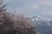 羽黒山神社(西の宮 羽黒山神社)の景色