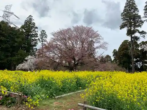 小鷹神社(千葉県)