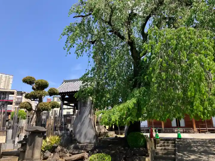 長明寺の{uncategorized: "未分類", other: "その他", undefined: "問題あり", building: "その他建物", grave: "お墓", sacred_gate: "鳥居", guardian: "狛犬", statue: "像", buddha: "仏像", history: "歴史", nature: "自然", garden: "庭園", animal: "動物", pagoda: "塔", temizu: "手水舎", mountain_gate: "山門・神門", sanctuary: "本殿・本堂", subordinate: "末社・摂社", art: "芸術", scenery: "景色", jizo: "地蔵", ema: "絵馬", goshuin: "御朱印", omikuji: "おみくじ", items: "授与品その他", amulet: "お守り", goshuincho: "御朱印帳", eats: "食事", festival: "お祭り", votive_dance: "神楽", shichigosan: "七五三参", wedding: "結婚式", experience: "体験その他", initially: "初詣", around: "周辺", anti_infection: "感染症対策"}