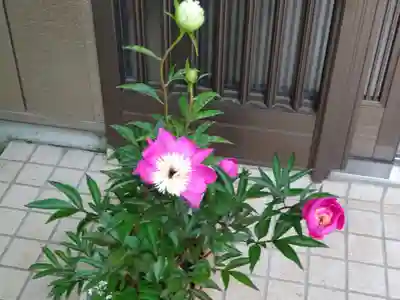 弥生神社のその他建物