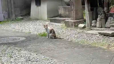 行願寺（革堂）(京都府)