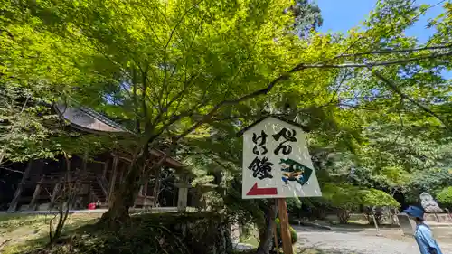 園城寺（三井寺）(滋賀県)