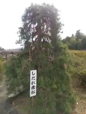 長泉寺(埼玉県)
