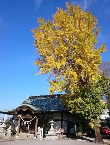 小浜神社の本殿・本堂
