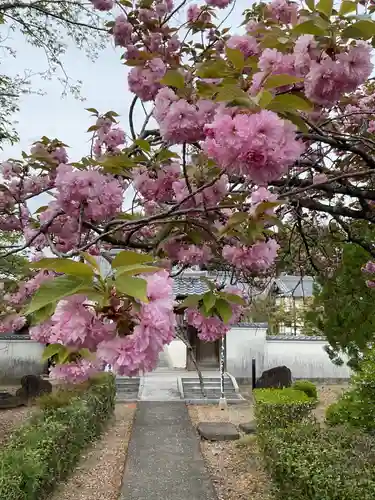 法幢寺(岐阜県)