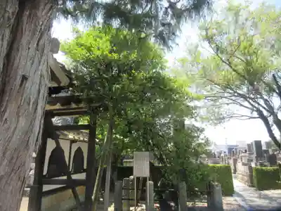 清巌寺(栃木県)