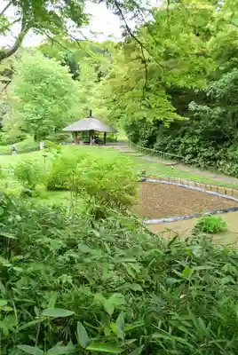 明治神宮(東京都)