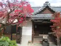念仏寺(大原念佛寺)の自然