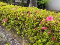 西方山極楽寺(岐阜県)