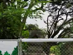 靖國神社の狛犬