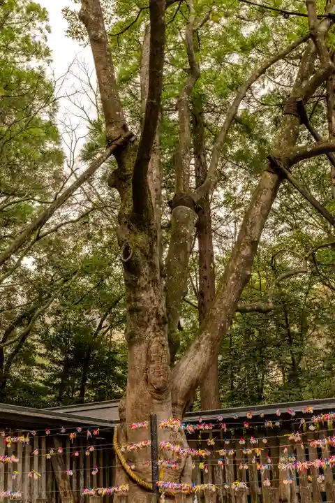 天岩戸神社(宮崎県)
