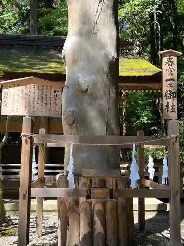 諏訪大社下社春宮(長野県)