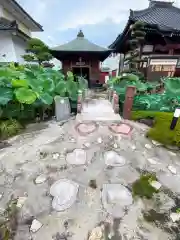 徳蔵寺(栃木県)