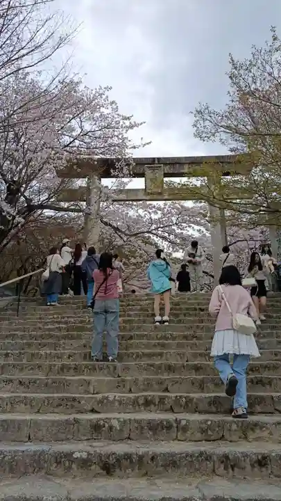 宝満宮竈門神社(福岡県)
