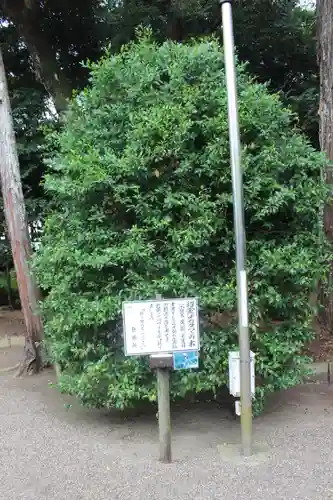 息栖神社(茨城県)
