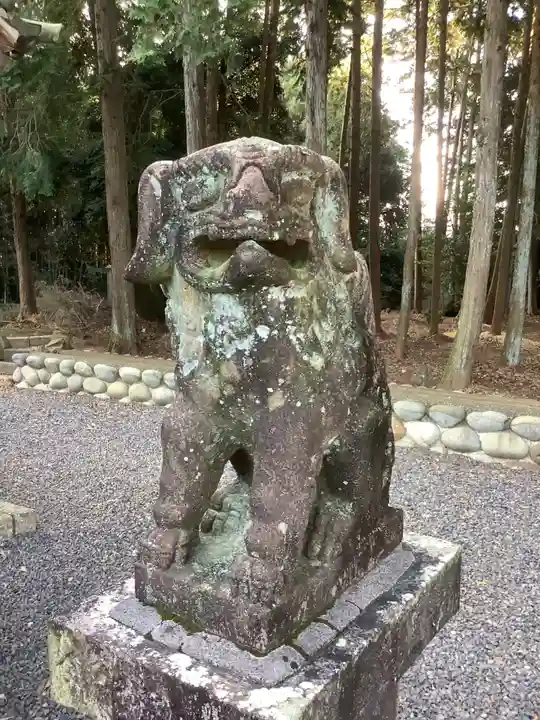 熊野社(塔野地)の狛犬