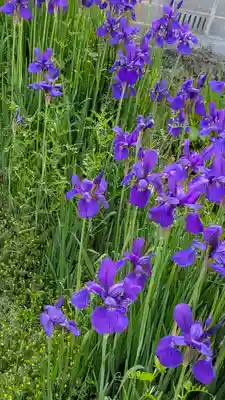 桜山天満宮(京都府)