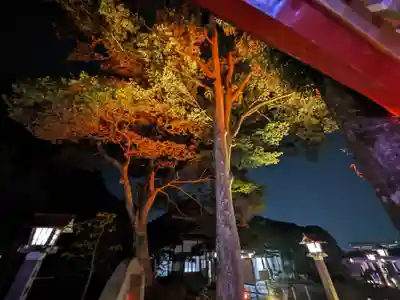 金蛇水神社(宮城県)