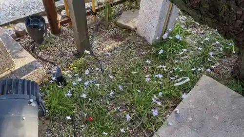 綱敷天満宮の自然