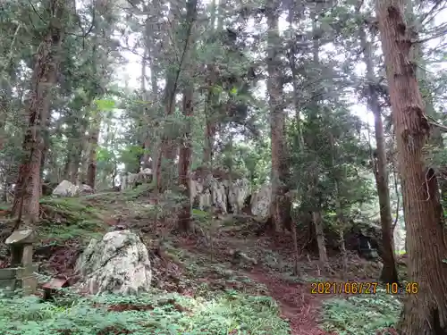 鹿島大神宮の自然