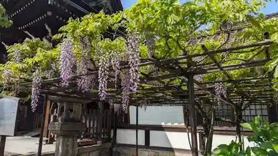 六孫王神社(京都府)