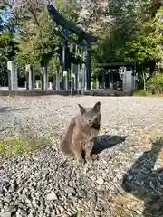 佐野赤城神社(栃木県)