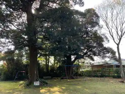 蓑毛神社(千葉県)