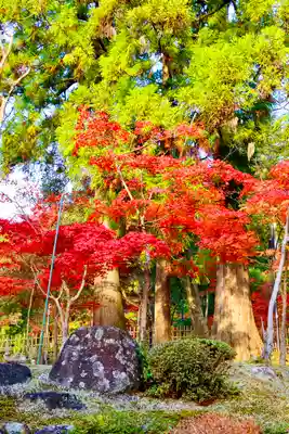 西明寺(滋賀県)