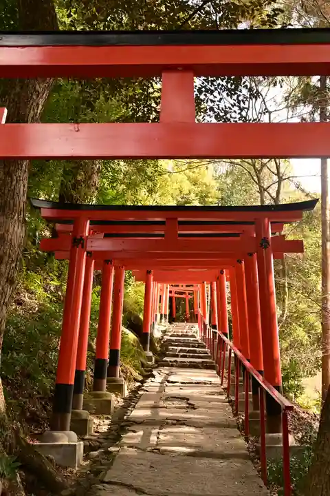 賀茂別雷神社(上賀茂神社)(京都府)