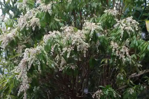 長屋神社の自然