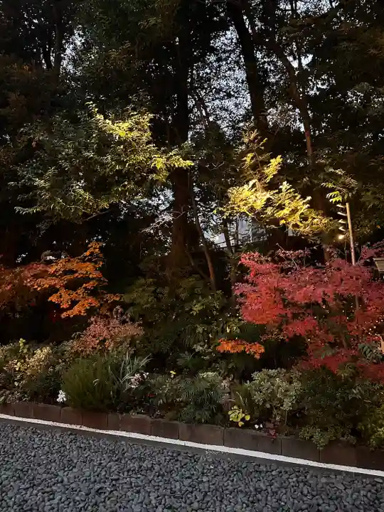 東京大神宮(東京都)