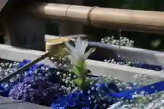 豊景神社の手水