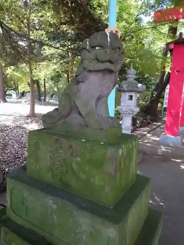 峯ヶ岡八幡神社の狛犬