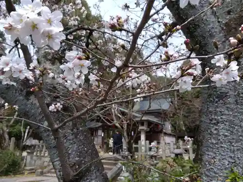 竹中稲荷神社（吉田神社末社）(京都府)