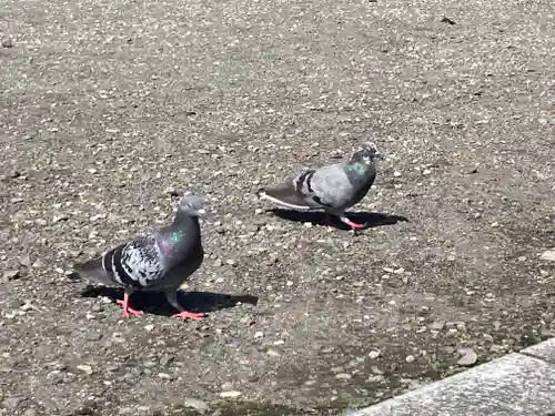 今市報徳二宮神社(栃木県)