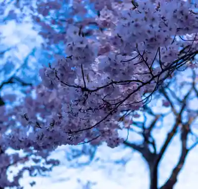 新城藤原神社(長野県)