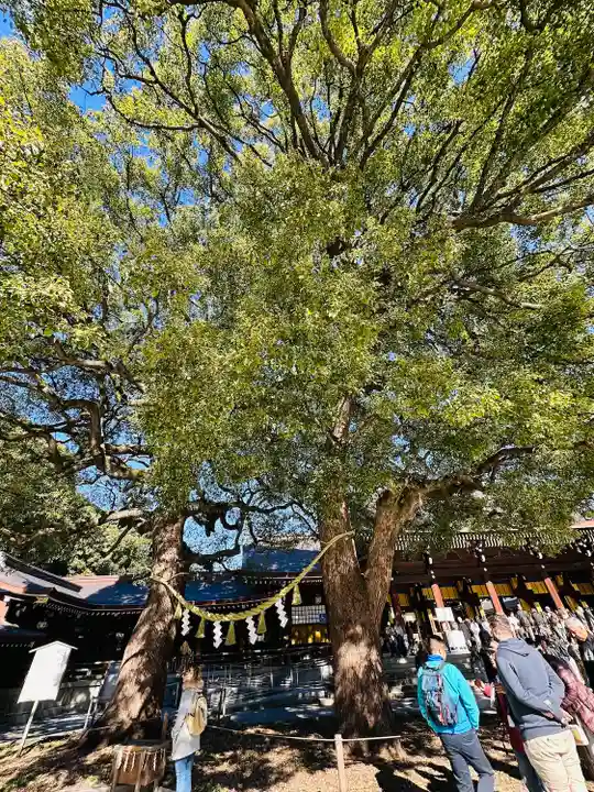 明治神宮(東京都)