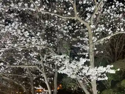 大船観音寺(神奈川県)